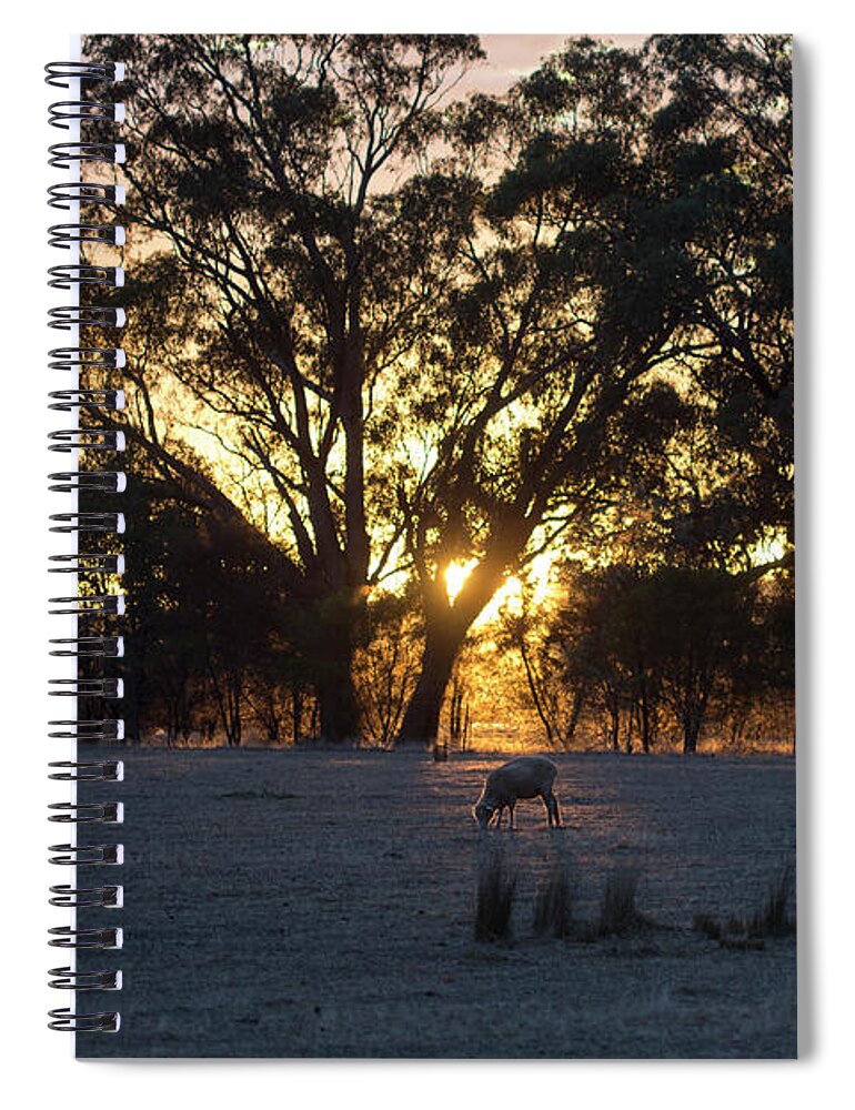 Farm Spiral Notebook featuring the photograph First Light by Linda Lees