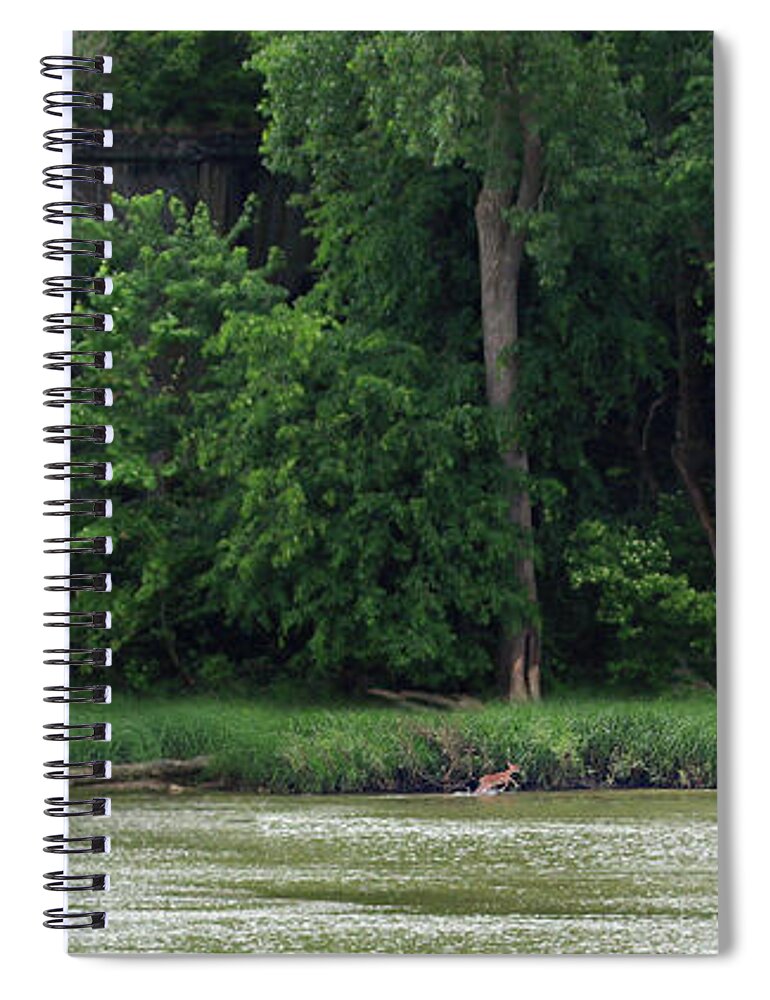 Deer Spiral Notebook featuring the photograph First River Adventure 7282 by Jack Schultz