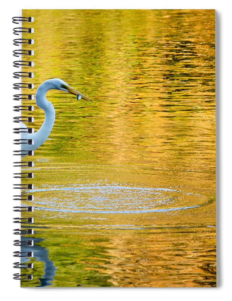 Sunset Spiral Notebook featuring the photograph Fishing 2 by Wade Brooks