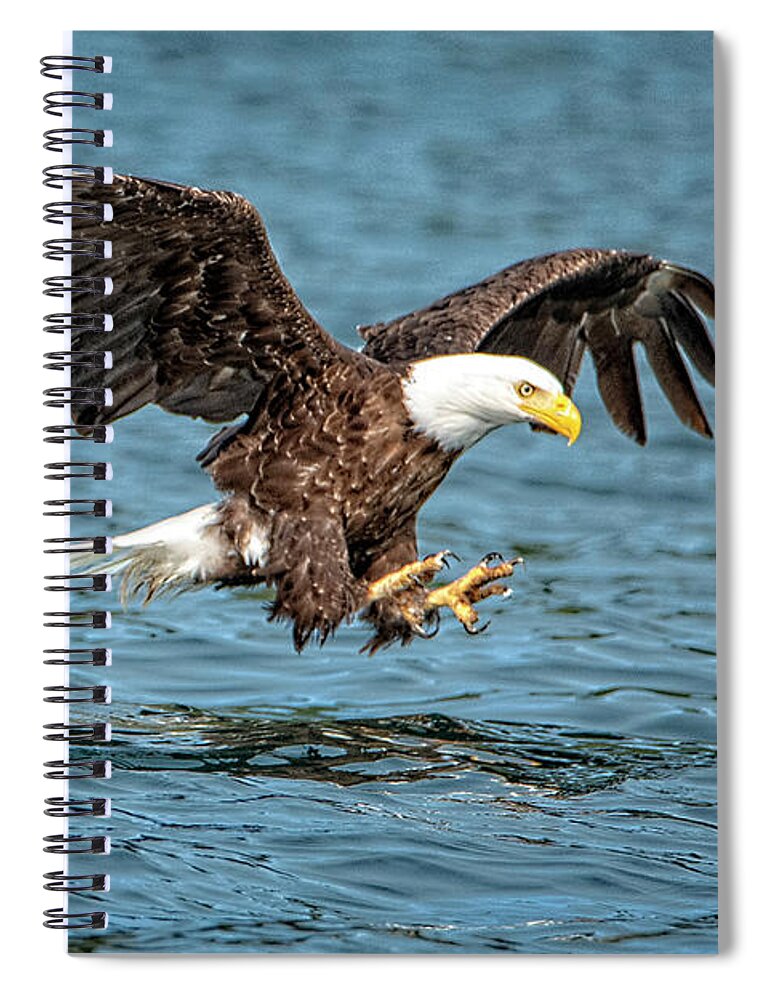 Bald Eagle Spiral Notebook featuring the photograph Fishing by Jeanette Mahoney