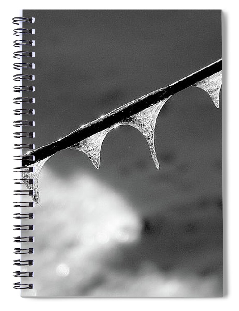 Black And White Spiral Notebook featuring the photograph Fivecicles by Wild Thing