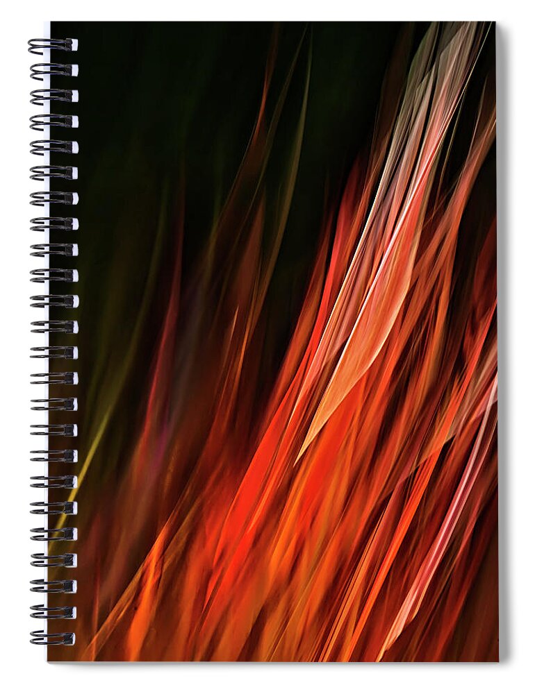 Miscanthus 'purpurascens' Spiral Notebook featuring the photograph Flame Grass by Theresa Tahara