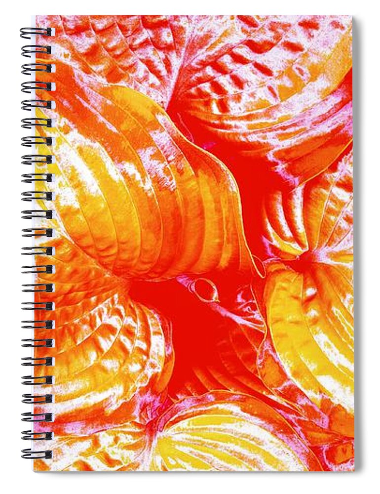 Hosta Spiral Notebook featuring the photograph Flaming Hosta by Rachel Hannah
