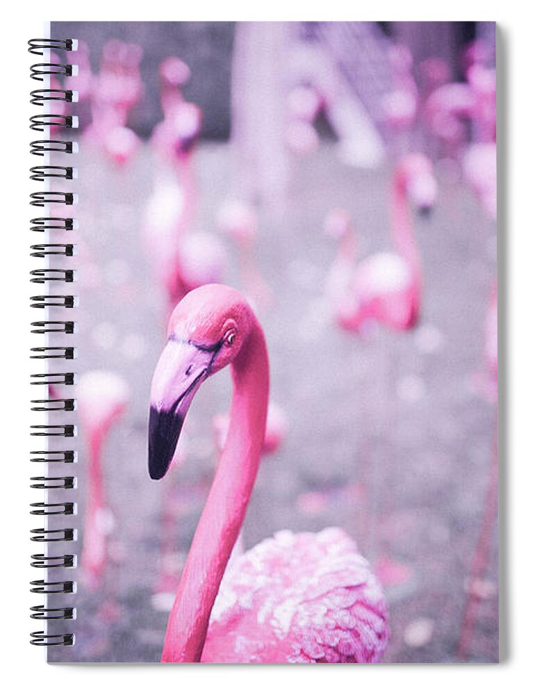Animals Spiral Notebook featuring the photograph Flamingo by Setsiri Silapasuwanchai