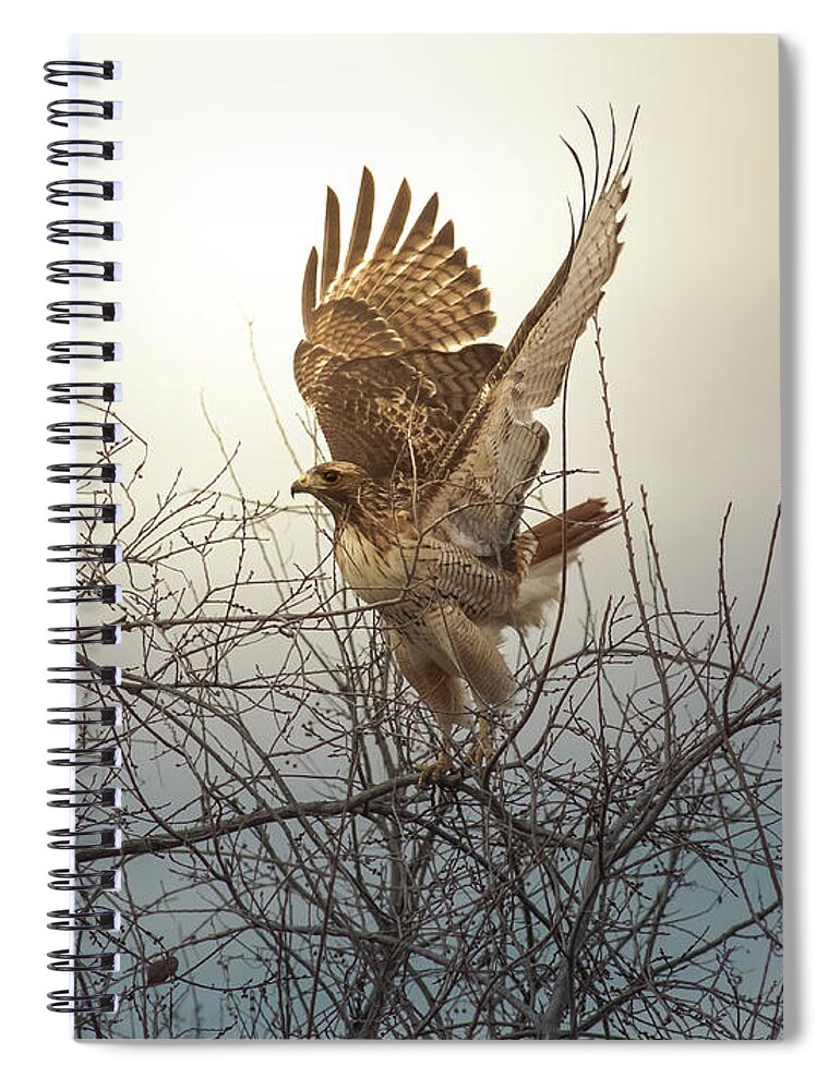 Animal Spiral Notebook featuring the photograph Flashing The Truckers by Robert Frederick