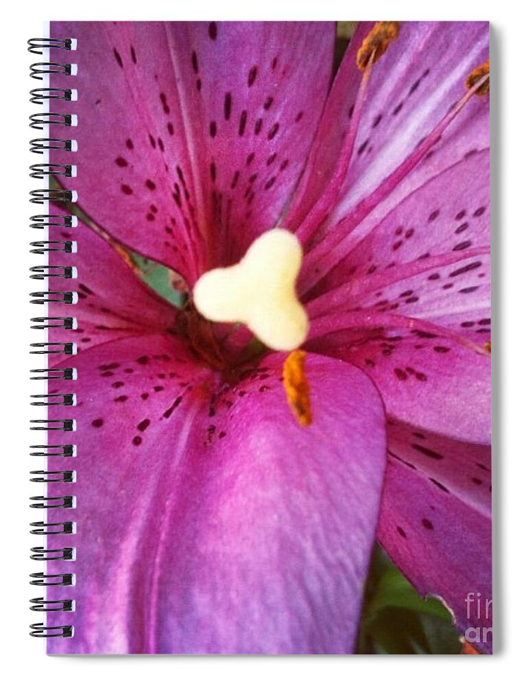Lily Spiral Notebook featuring the photograph Flecked by Denise Railey