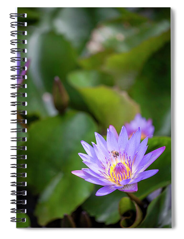 Art Spiral Notebook featuring the photograph Flight of the Bee II by Jon Glaser
