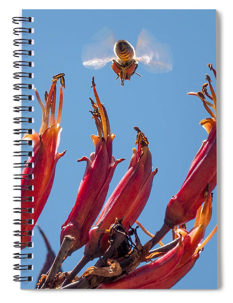 Flowers Spiral Notebook featuring the photograph Flight of the Bumble Bee by Derek Dean