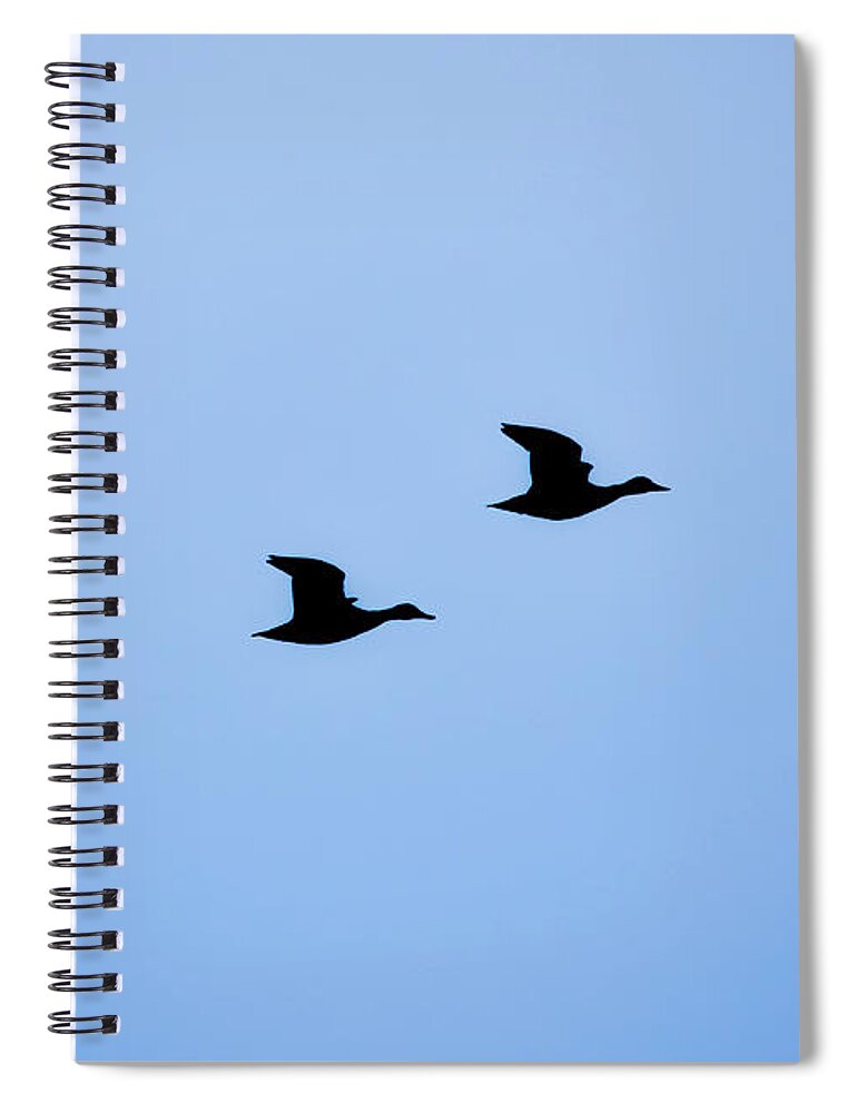 Nature Spiral Notebook featuring the photograph Flight of Three by Robert Mitchell