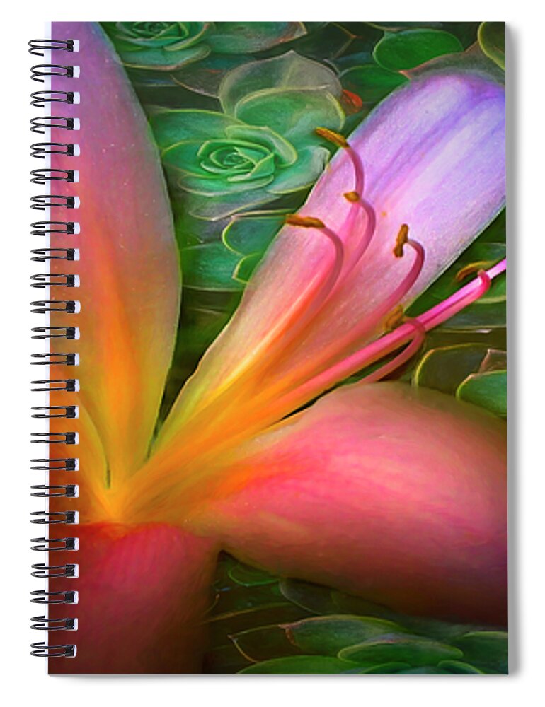 Florida Spiral Notebook featuring the photograph Floating in Nature by Debra and Dave Vanderlaan