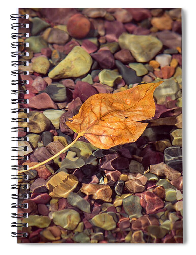 Glacier National Park Spiral Notebook featuring the photograph Floating Leaf by Teresa Wilson