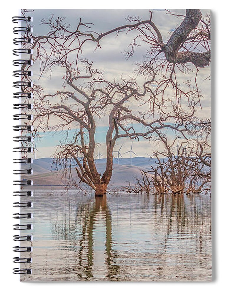 Landscape Spiral Notebook featuring the photograph Flooded Trees at Los Vaqueros by Marc Crumpler