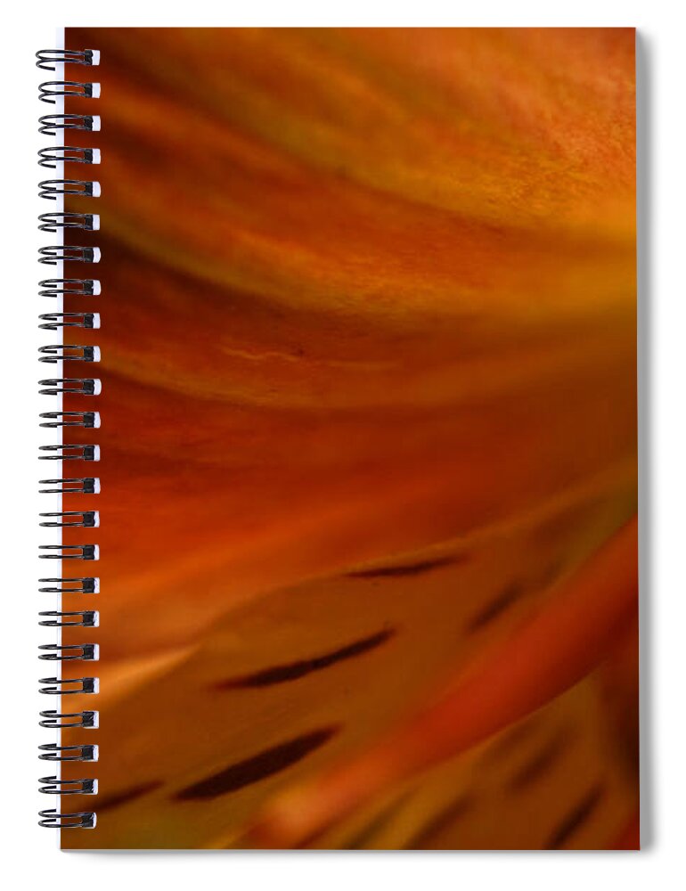 Wall Art Spiral Notebook featuring the photograph Floral Abstract by Kelly Holm