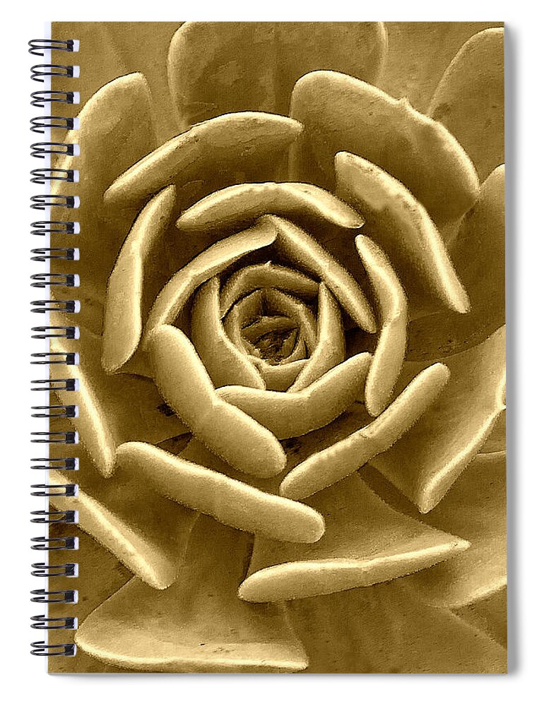 Contemporary Spiral Notebook featuring the photograph Floral Abstract by Milena Ilieva