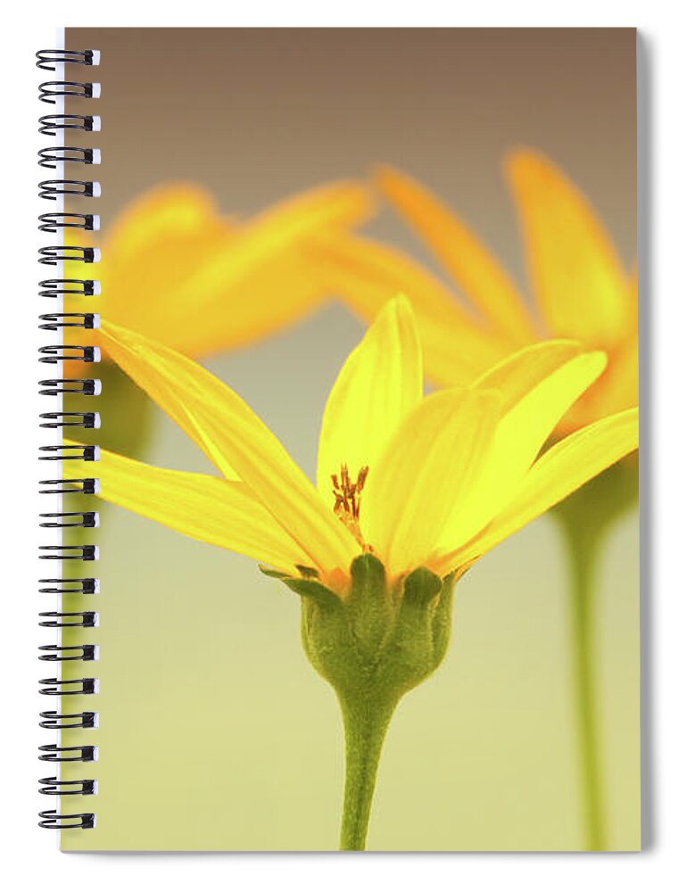 Flowers Spiral Notebook featuring the photograph Floral Brilliance by Anita Oakley