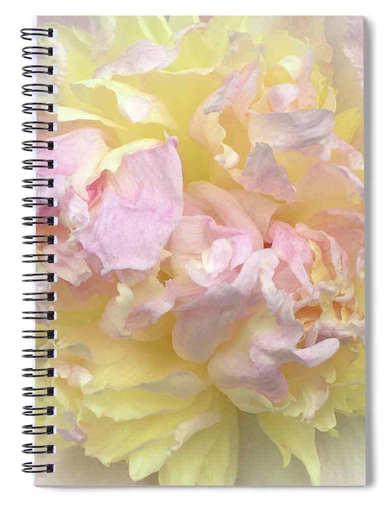 Floral Sunrise Spiral Notebook featuring the photograph Floral Sunrise by Michelle Constantine