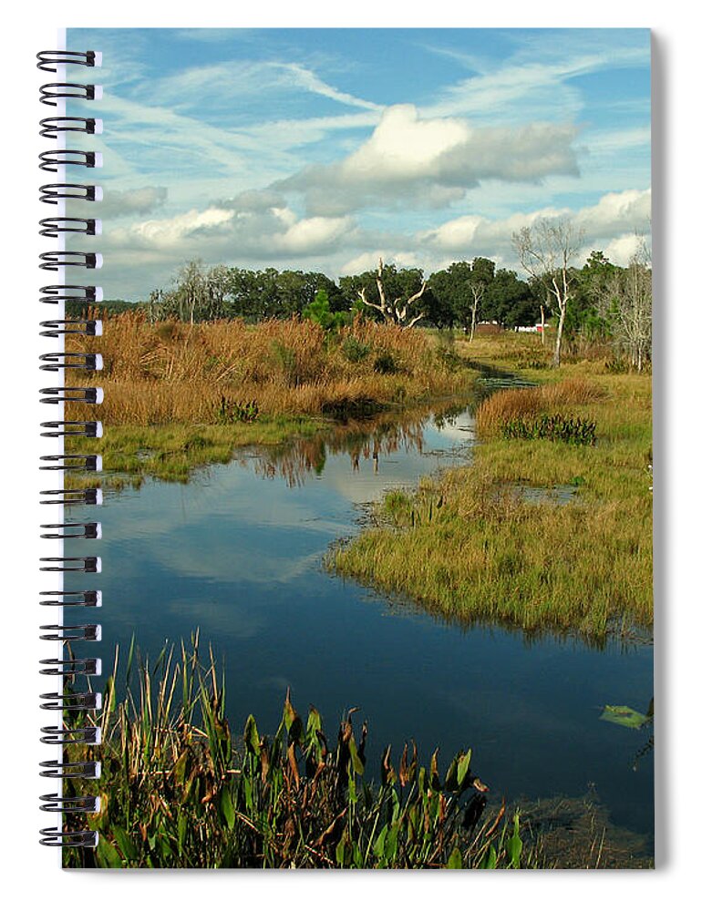 Nature Spiral Notebook featuring the photograph Florida Fall by Peggy Urban