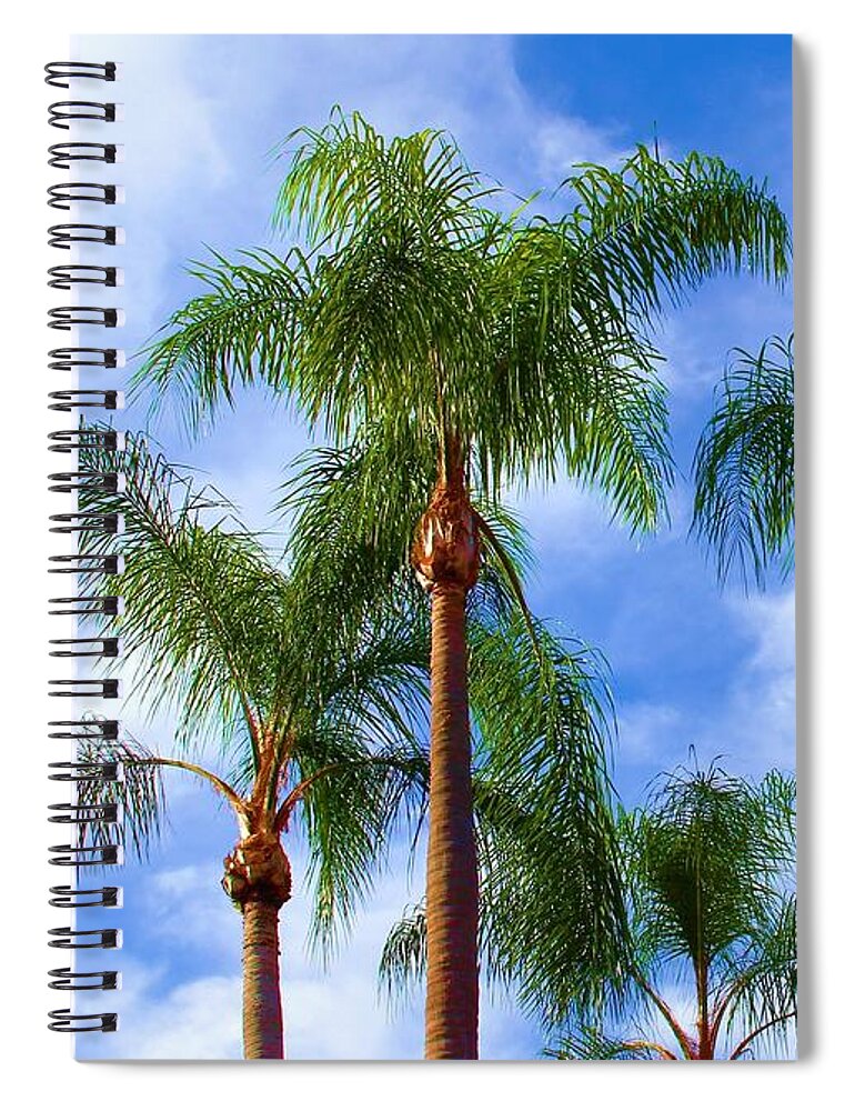 Florida Spiral Notebook featuring the photograph Florida Postcard by Robert Wilder Jr