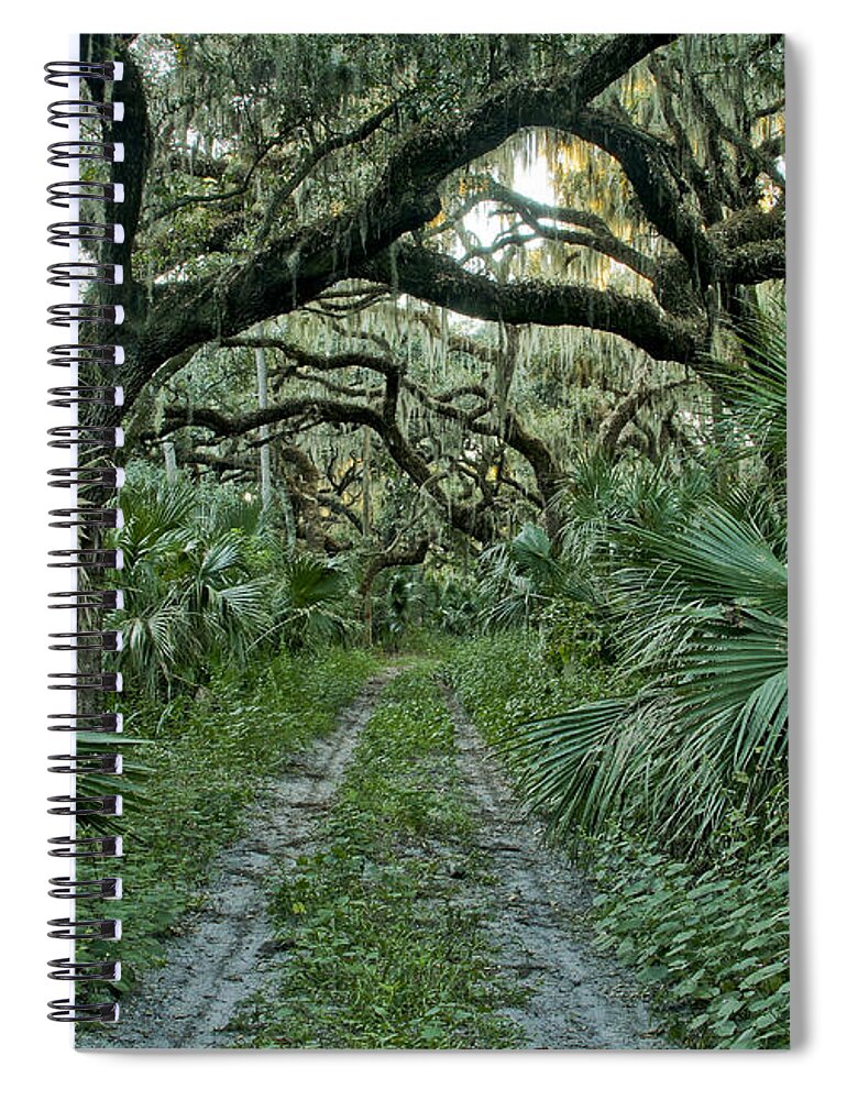 Spanish Moss Spiral Notebook featuring the photograph Florida Wilderness by Brian Kamprath
