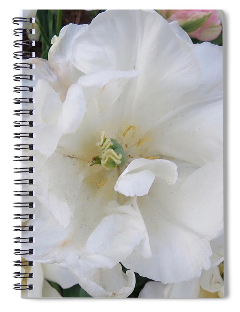 Flowers Spiral Notebook featuring the photograph Flourishing Flowers by Beth Myer Photography