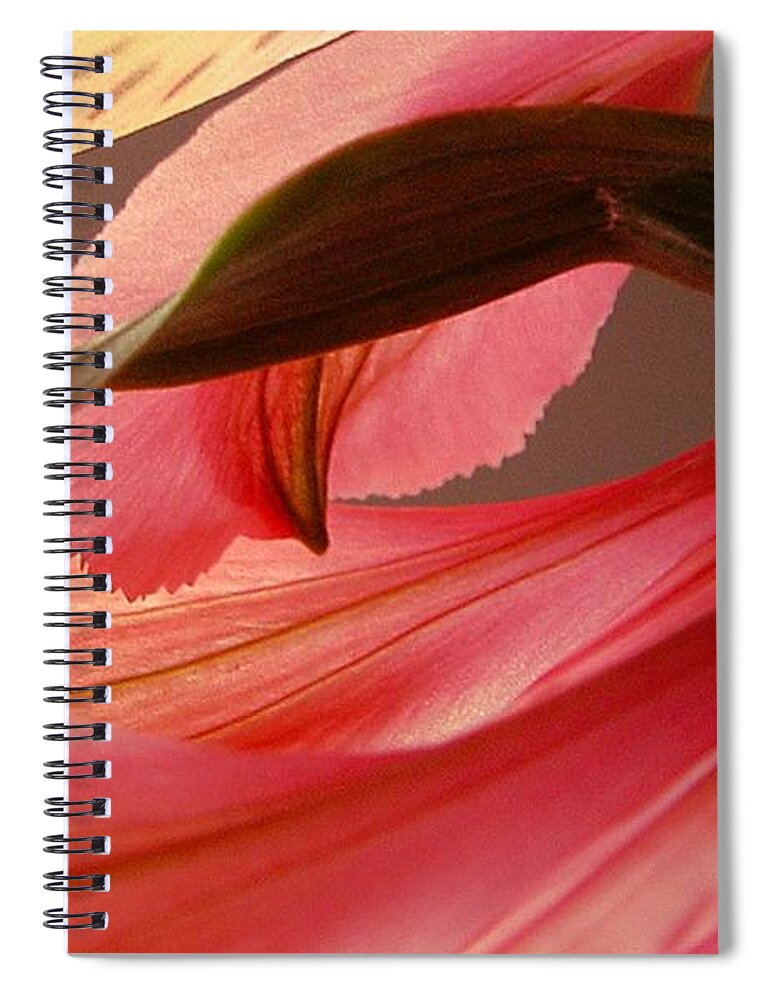 Flower Spiral Notebook featuring the photograph Flow by Kae Cheatham