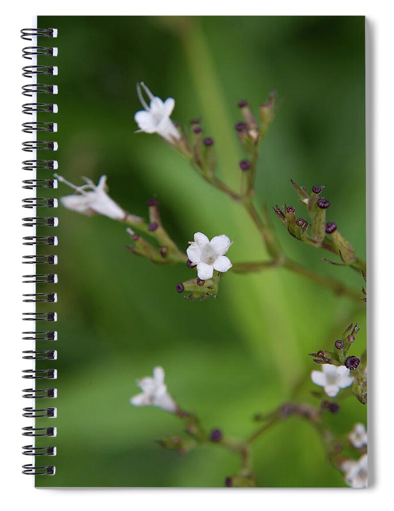 Nature Spiral Notebook featuring the photograph Flower 1 by Mati Krimerman