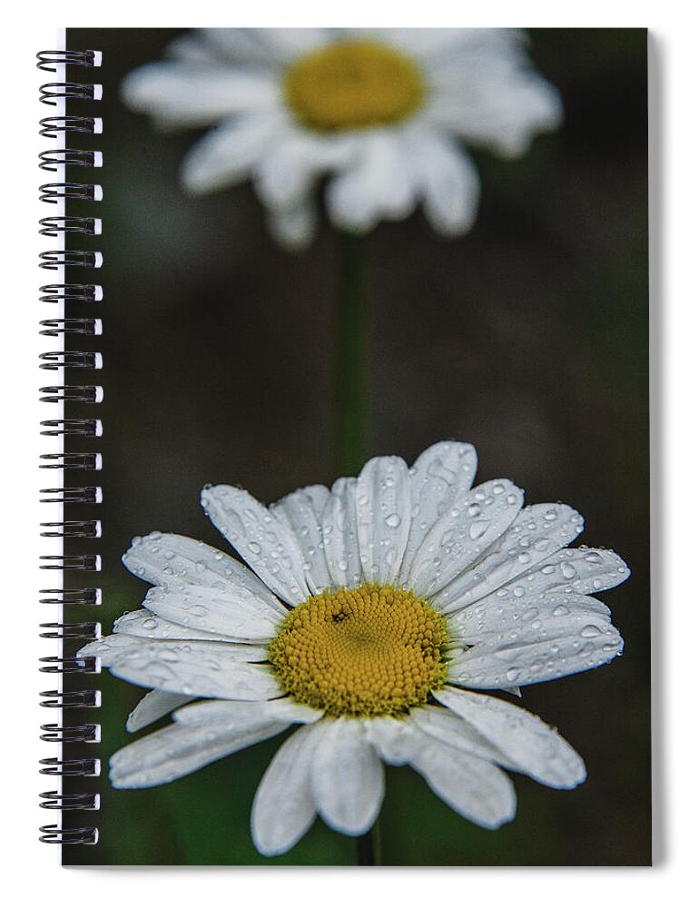 Nature Spiral Notebook featuring the photograph Flower 2 by Mati Krimerman