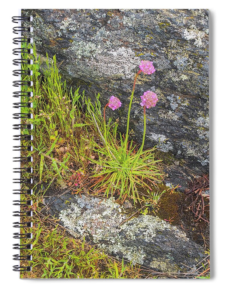 Oregon Coast Spiral Notebook featuring the photograph Flower And Rock by Tom Singleton