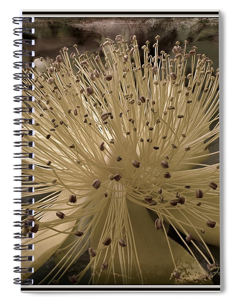 Flower Spiral Notebook featuring the photograph Adventure in Grey by Farol Tomson