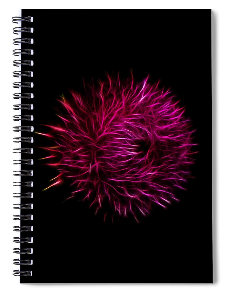Flower Spiral Notebook featuring the photograph Flower Burst by Shane Bechler