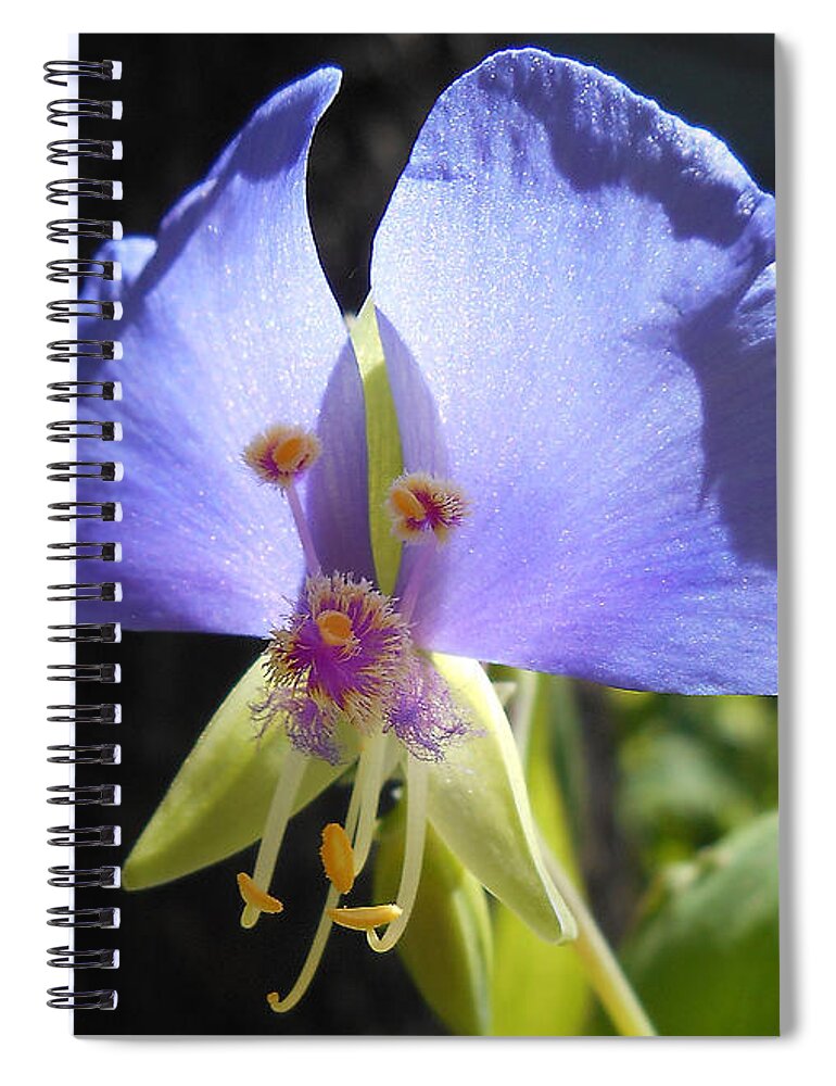 Floral Macro Spiral Notebook featuring the photograph Flower Face by Felipe Adan Lerma