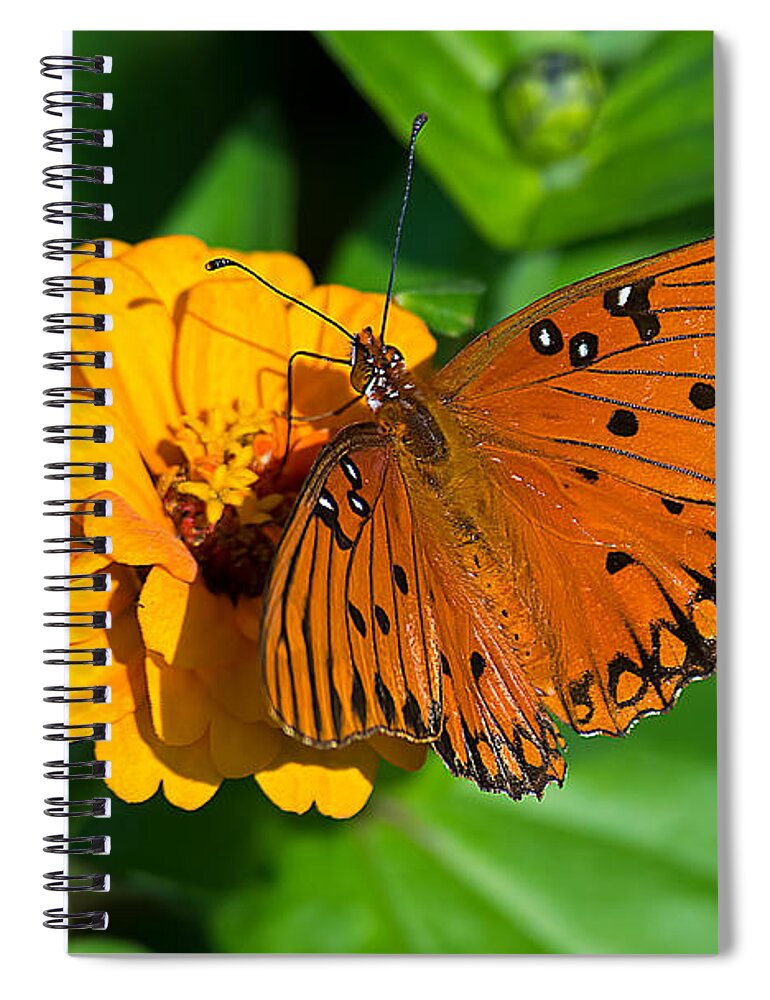 Wildlife Spiral Notebook featuring the photograph Flower Joy by Kenneth Albin