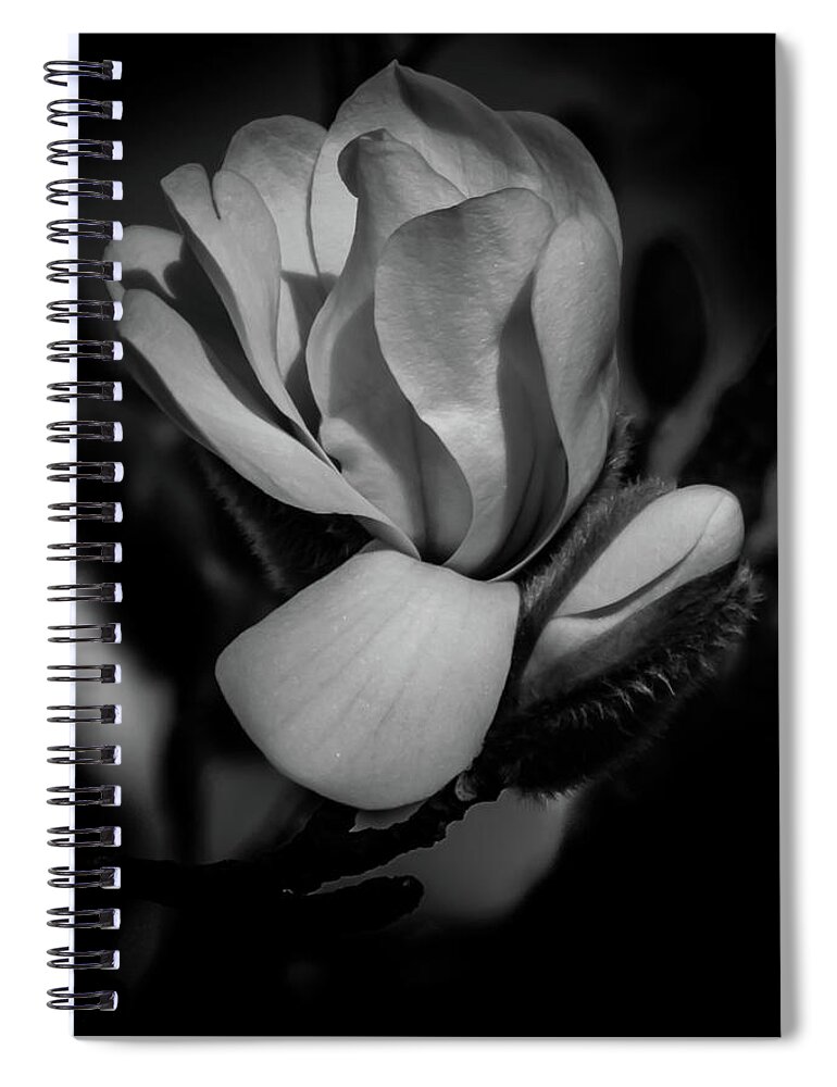 Flower Spiral Notebook featuring the photograph Flower Noir by Allin Sorenson