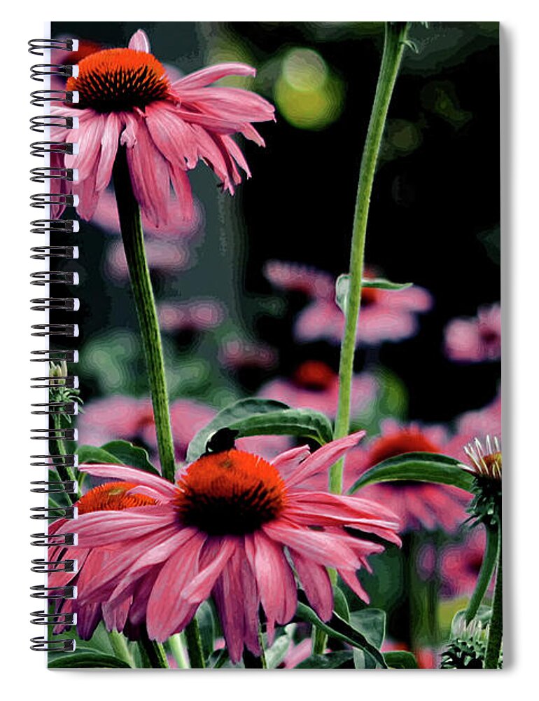 Floral Photograph Spiral Notebook featuring the photograph Flower Power by Tom Prendergast