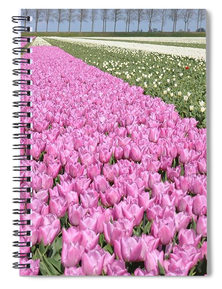 Flowerfields Spiral Notebook featuring the photograph Flowerfield, pink tulips by Eduard Meinema