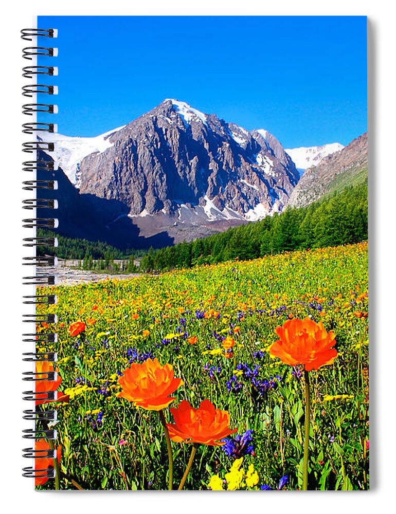 Russian Artists New Wave Spiral Notebook featuring the photograph Flowering Valley. Mountain Karatash by Victor Kovchin