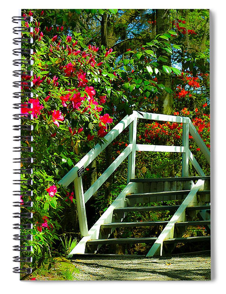 Magnolia Plantation Spiral Notebook featuring the photograph Flowers Bloom Alongside Magnolia Plantation Bridge - Charleston SC by Donnie Whitaker