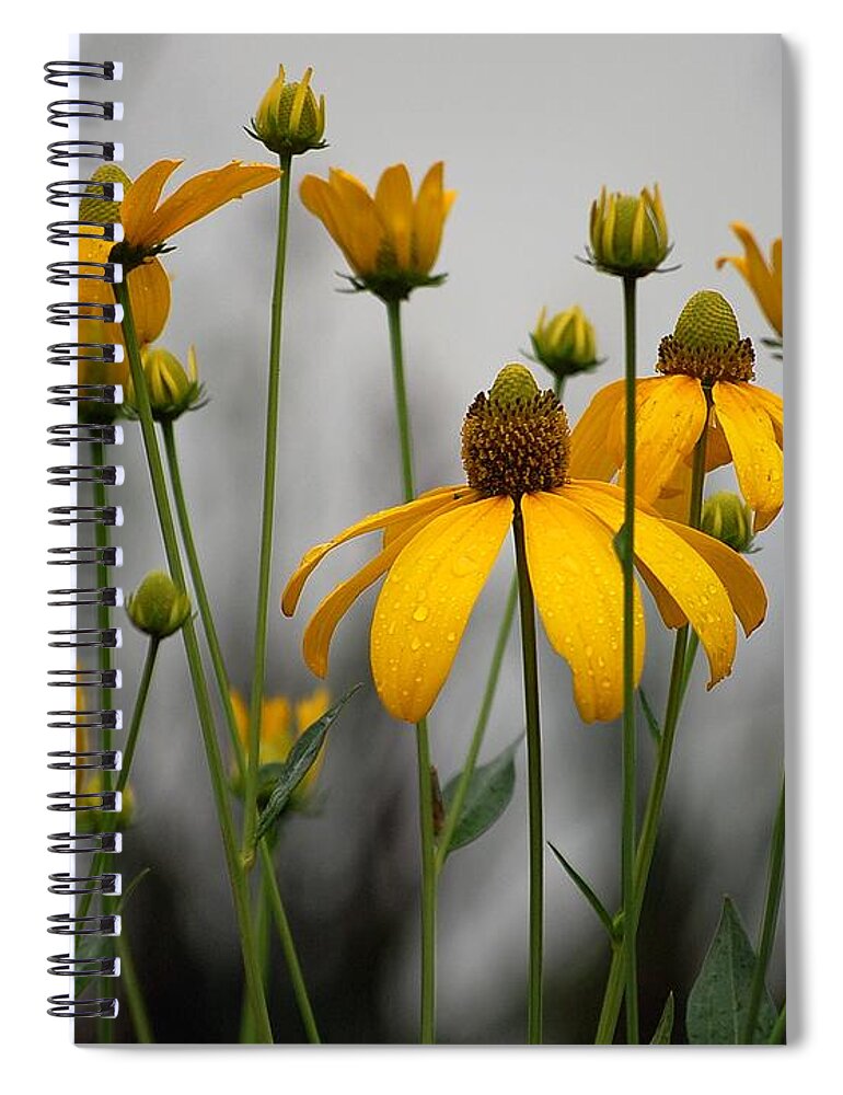 Flowers In The Rain Spiral Notebook featuring the photograph Flowers in the rain by Robert Meanor
