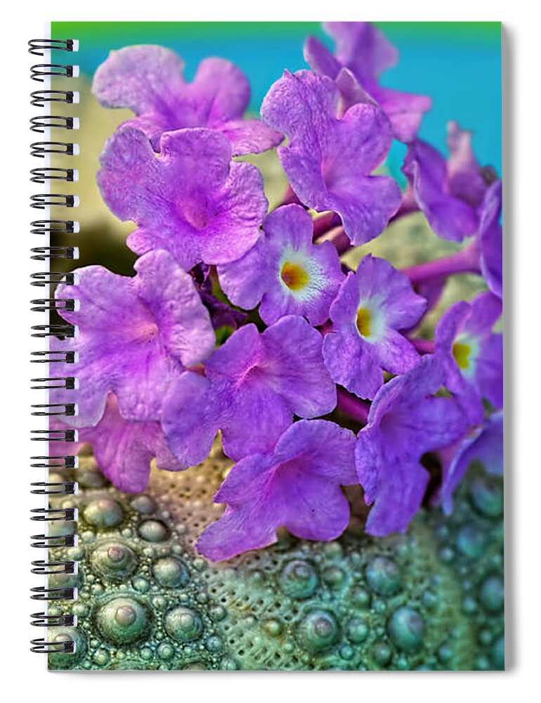 Photography Spiral Notebook featuring the photograph Flowers on a Shell by Kaye Menner by Kaye Menner