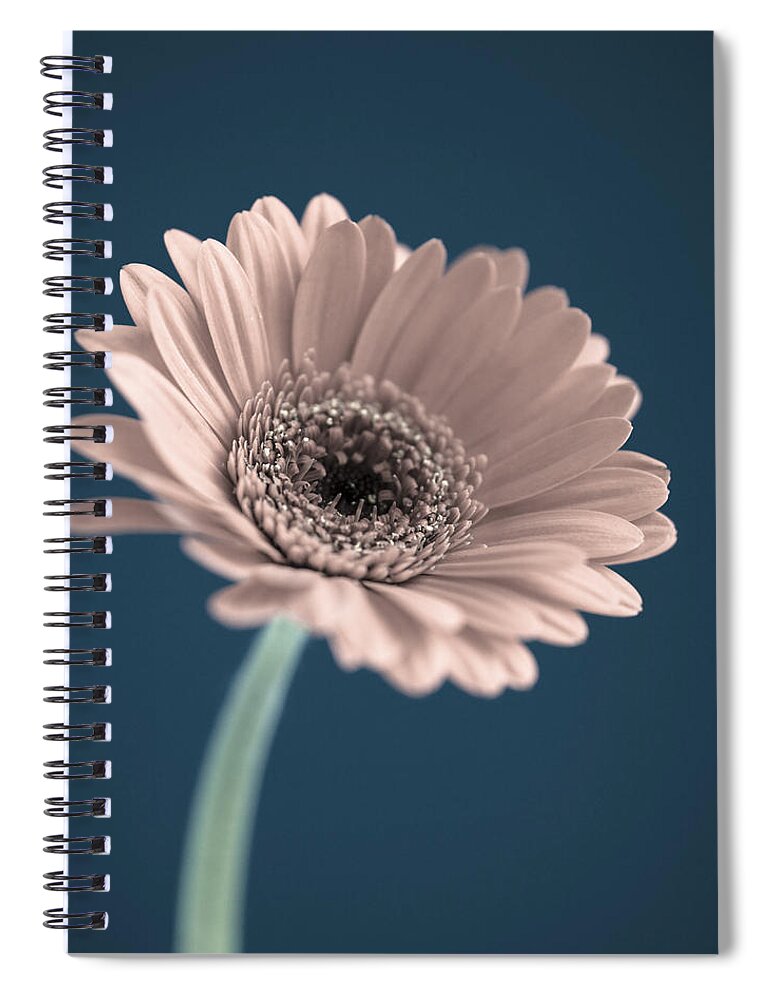 Flower Spiral Notebook featuring the photograph Flowers by John Paul Cullen