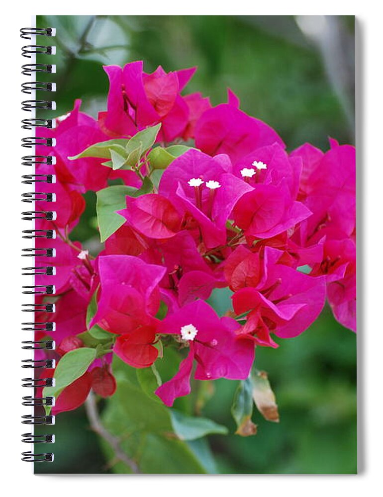 Flowers Spiral Notebook featuring the photograph Flowers by Rob Hans