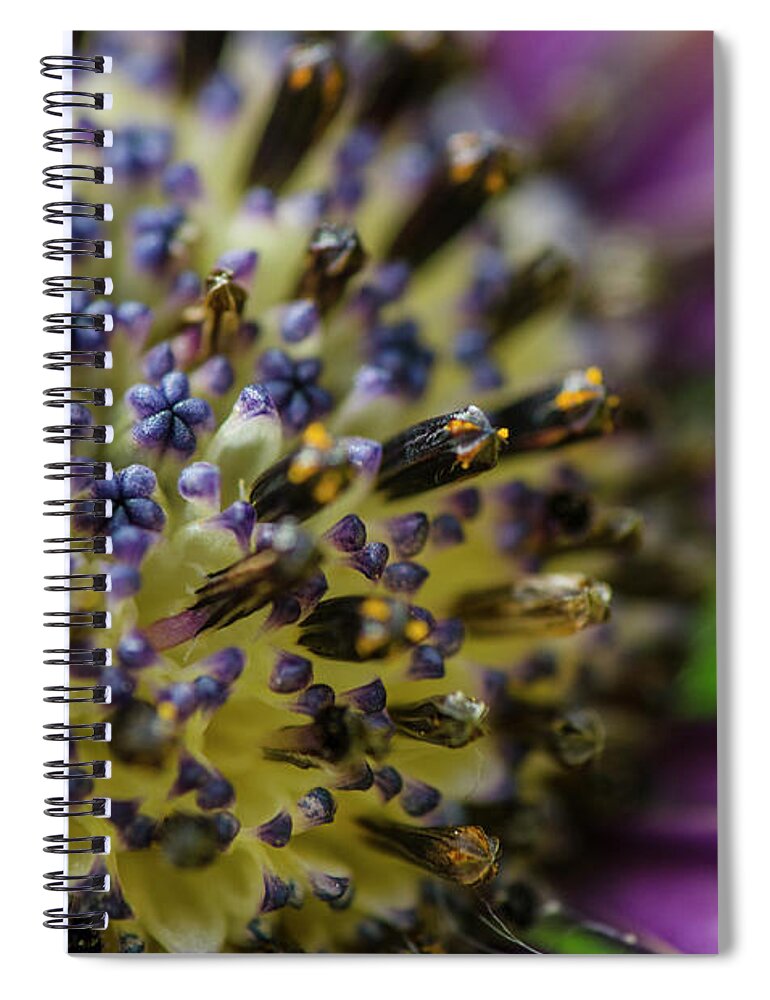 2015 Spiral Notebook featuring the photograph Flowers within flowers by Sandra Parlow