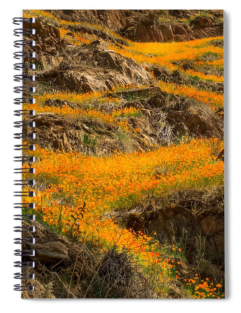 Orange Spiral Notebook featuring the photograph Flowing Flowers by Susan Eileen Evans