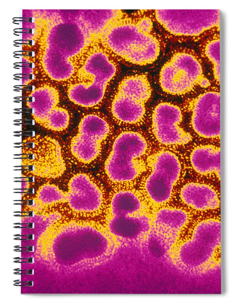 Disease Spiral Notebook featuring the photograph Flu Virus Tem by Science Source