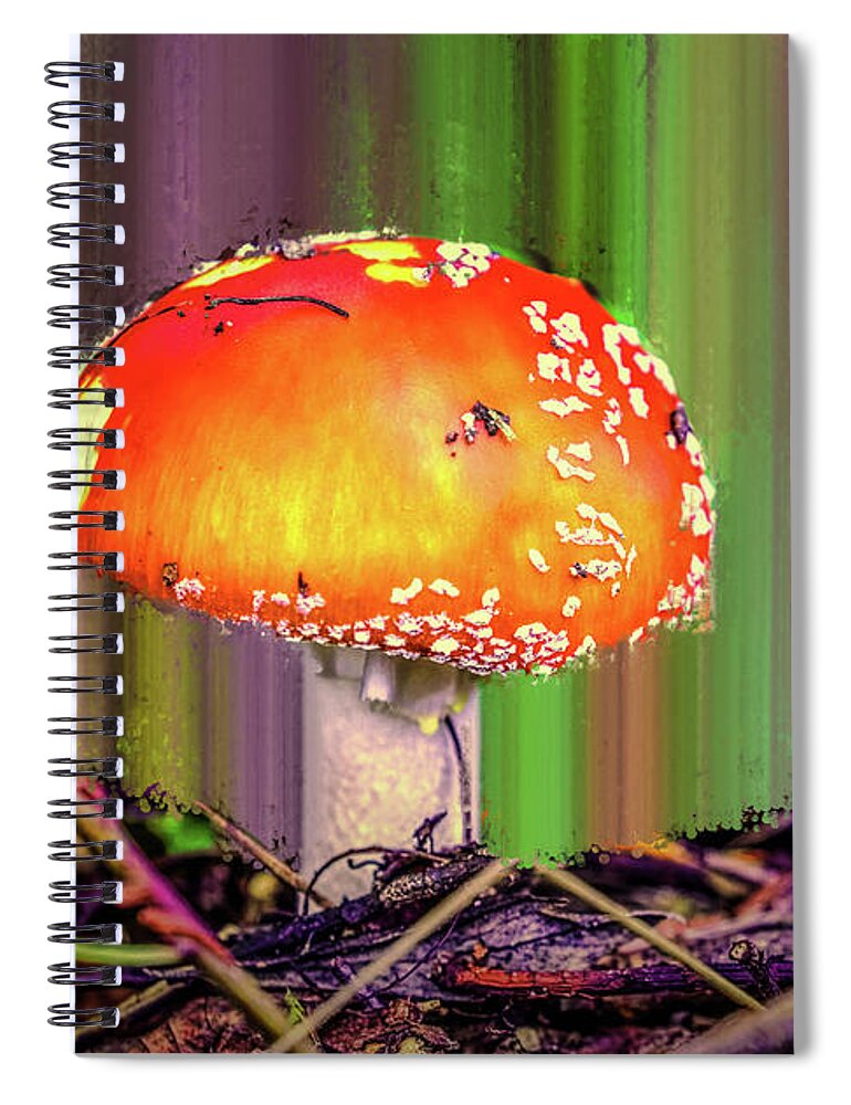 Fly Agaric Spiral Notebook featuring the photograph Fly Agaric #g7 by Leif Sohlman