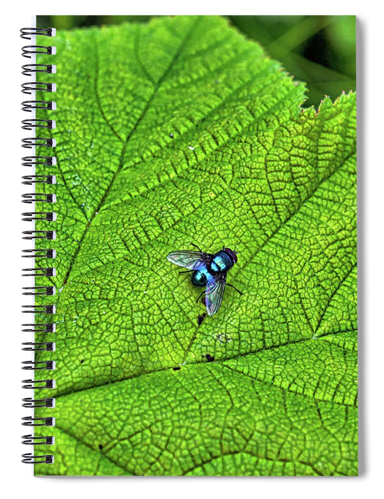 Fly Spiral Notebook featuring the photograph Fly by Cathy Mahnke