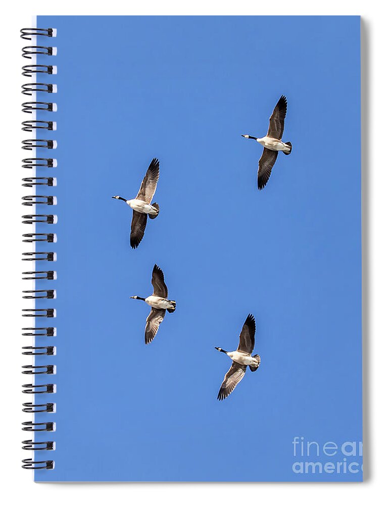 Bird Spiral Notebook featuring the photograph Fly Over by Phil Spitze