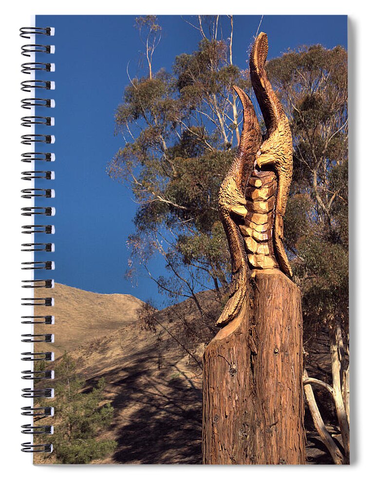 Thomas Spiral Notebook featuring the photograph Flying Eagles Safe by Michael Gordon