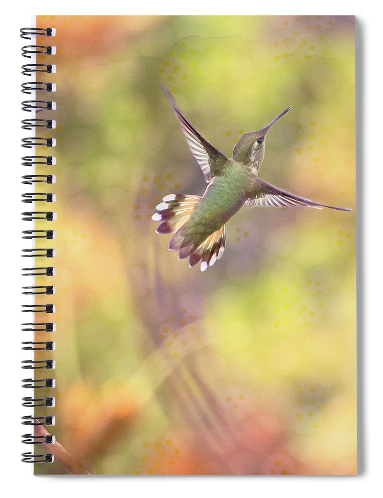 Hummingbird Spiral Notebook featuring the photograph Flying Gems by Jennifer Grossnickle