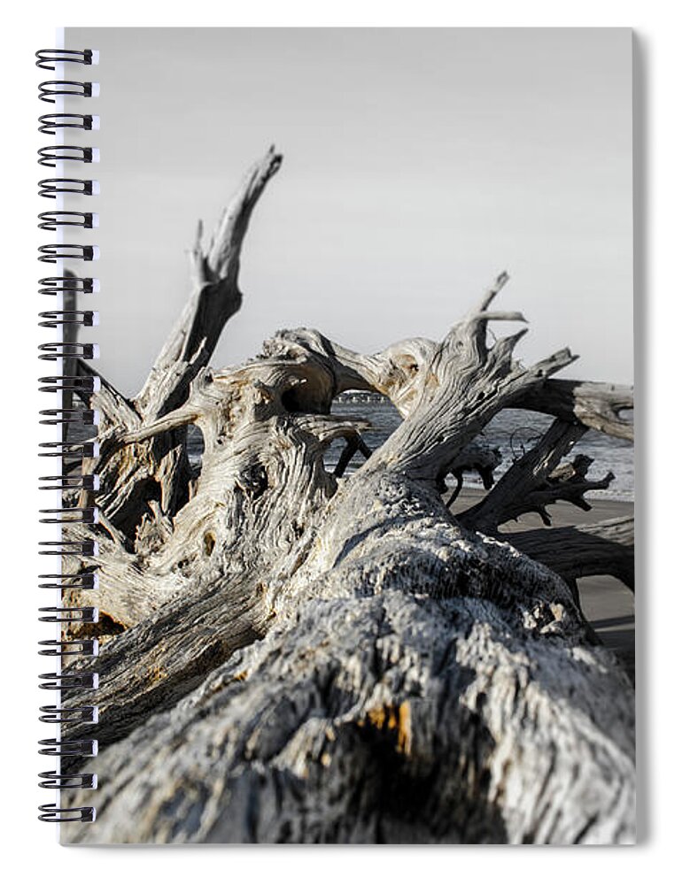 Zen Spiral Notebook featuring the photograph Focused by Bradley Dever